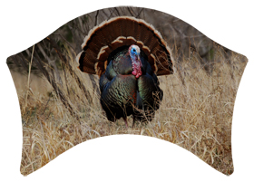 DABAN-315 Gone Hunting (Turkey)